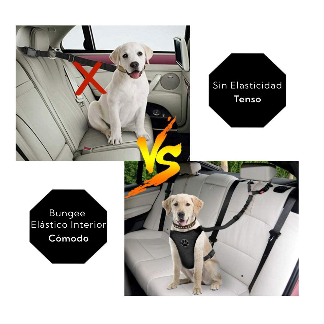 Correa Leash Para Mascotas Pro Outdoor