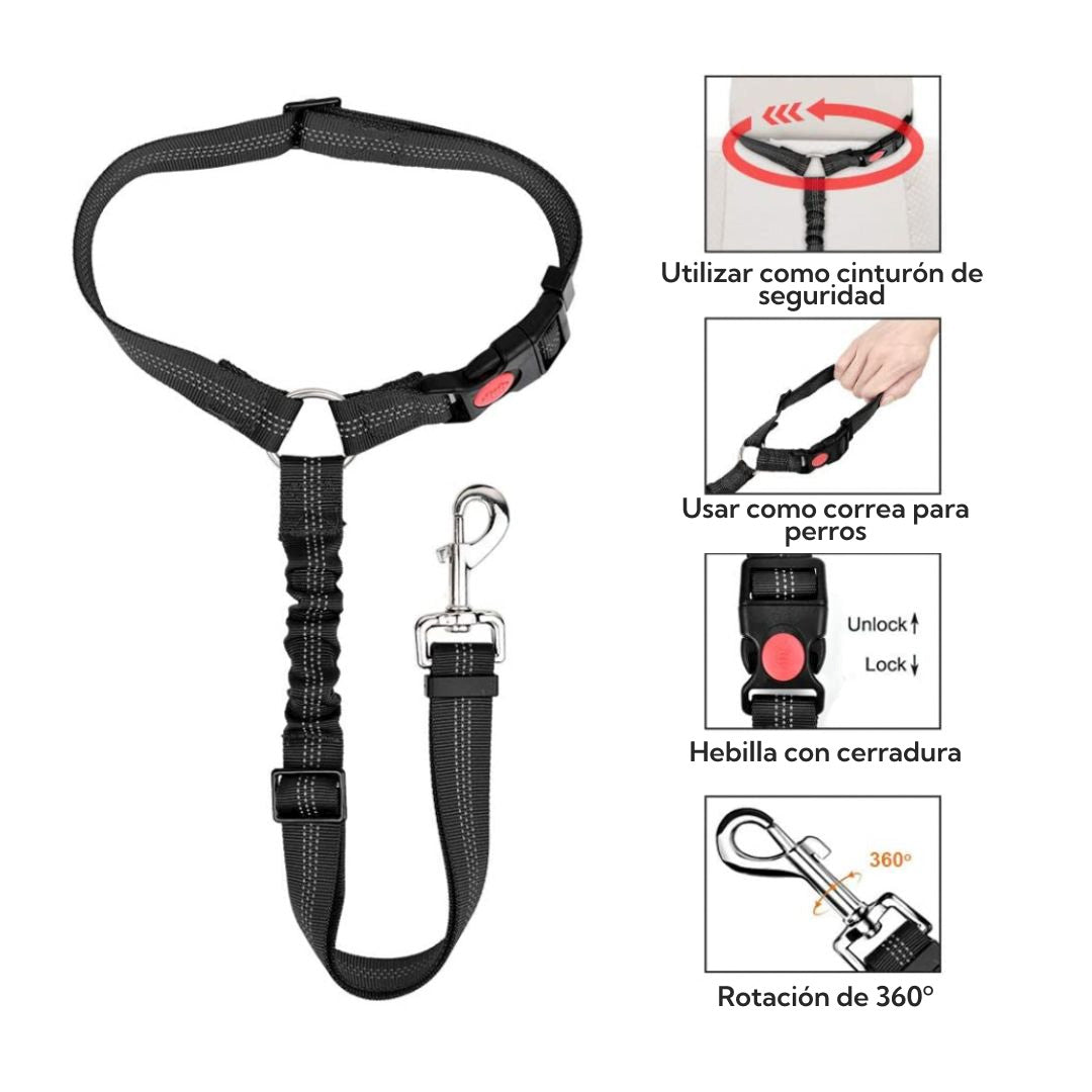 Correa Leash Para Mascotas Pro Outdoor